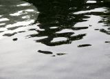 Fountain Pool Reflections