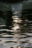 Fountain Pool Reflections