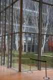 NY Times Building - Interior Birch Tree Garden