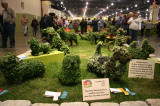 Flower Show - Topiary Dog Show