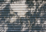 Tree Shadows on Shop Window Shutter