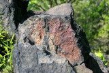 Rock Formation - Harlem Meer