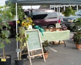 PJFM 6-20-2010 36.jpg