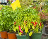 August 1 2010 22.jpg