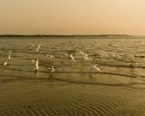 Sunset - West Meadow Beach
