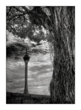 Macau Tower