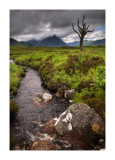 Rannoch Moor