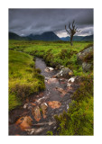 Rannoch Moor