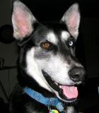 OK ,lets see a smile,,,Click