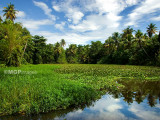 Alleppey, Kerala, India