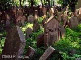 Old Jewish Cementery, Prague, Czech Republic