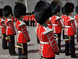 Royal Guard, London, United Kingdom