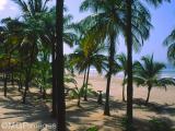 Cap Skirring, Casamance, Senegal