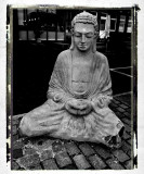 wounded knee buddha