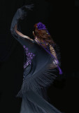 Arte Flamenco
