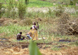 Resting in the fields