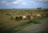 Driving South of Mogadishu