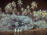 IR Palms and Girls