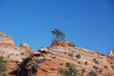  Utah Zion National Park  264