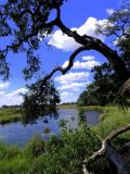 Kings Pool