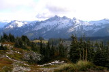 Tatoosh Range from Paradise