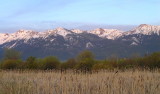 Wallowas along Hwy 82 near Joseph