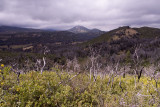 27 Climb After Sweetwater View Towards Cuyamaca.jpg
