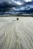 White sands.jpg