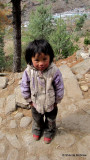 Sherpa kid
