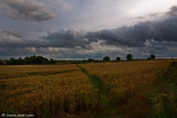 IMG_2862.jpg