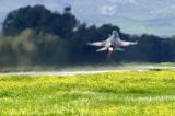 Israel Air Force F-16 Fighting Falcon Viper