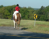 DSCN2063.JPG