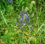 DSCN3929.JPG