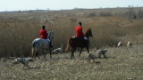 Hunting with Shawnee Friday February 29th