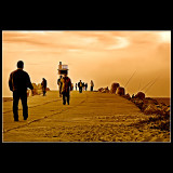 --- having fun and some walk ---