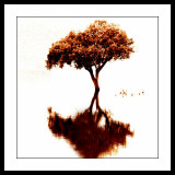 ... Tree ...