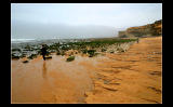 ... Foggy morning at the beach ...