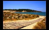 ... Lets go to the beach ????