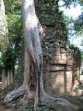 Ta Prohm Jungle temple