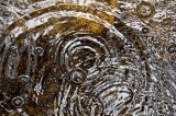 AFTER RAIN