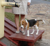 The little one does not like to get wet.