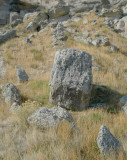 P1000545.jpg
