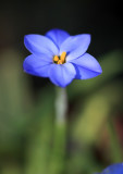 Spring is on the way