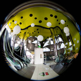 Fun with fisheye. (oops, looks like camera was tilted too far back.)