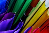 One of my brollies