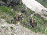 On the Six Glaciers Trail