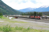 Train at Field waiting to climb the Spiral Tunnels