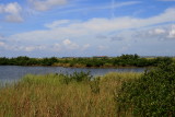 MARSHLAND
