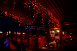 TITC - SPARKLY - SPARKLY LIGHTS