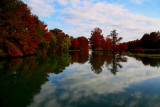 GUADALUPE RIVER REFLECTIONS